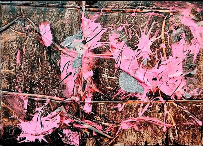 luigi-colombi-emozioni-in-rosa